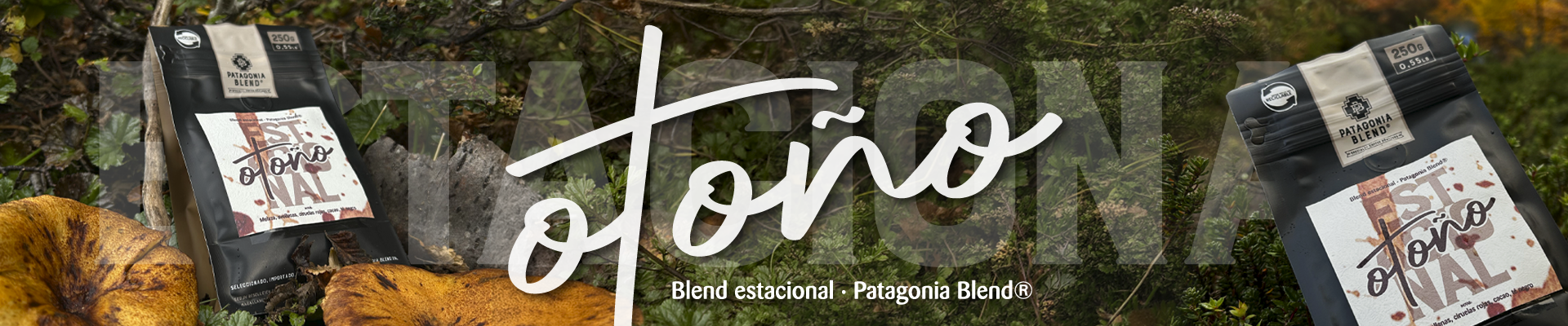 Blend de otoño